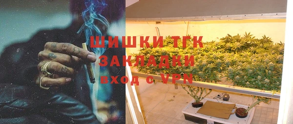 шишки Верхний Тагил