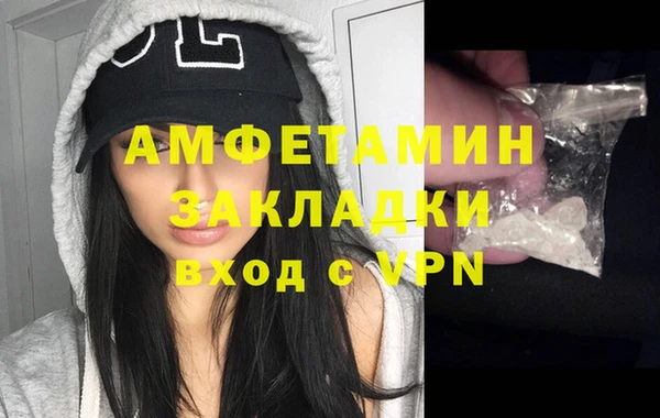 молекула духа Сясьстрой