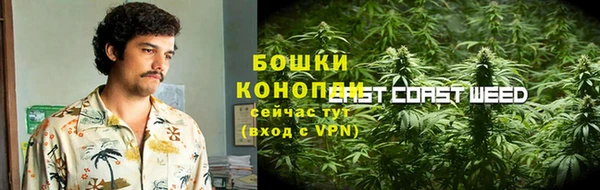 шишки Верхний Тагил