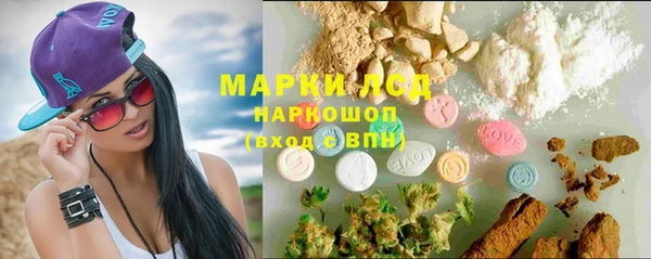 шишки Верхний Тагил