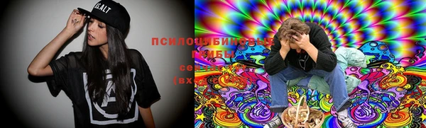 шишки Верхний Тагил