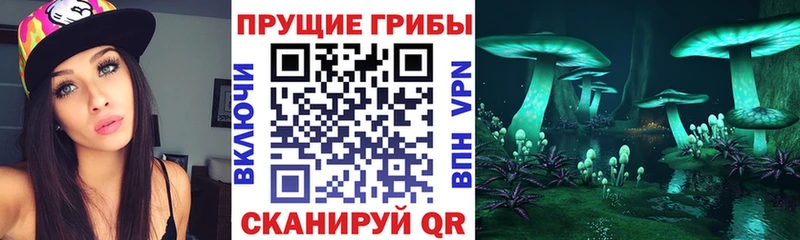 Галлюциногенные грибы ЛСД  где купить наркоту  omg как зайти  Мончегорск 