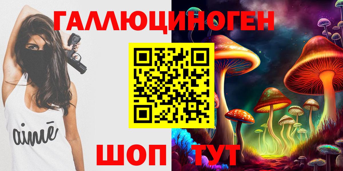 Псилоцибиновые грибы Psilocybine cubensis Мончегорск
