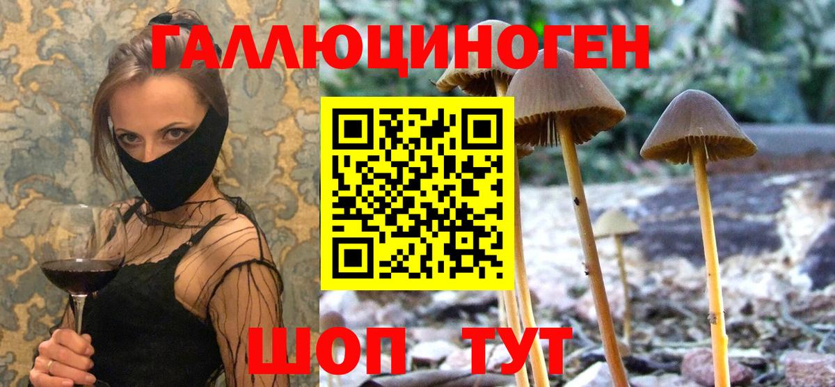 Галлюциногенные грибы GOLDEN TEACHER  Вход с VPN  Мончегорск  Галлюциногенные грибы прущие грибы 